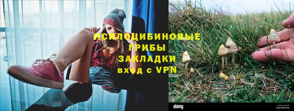 таблы Липки