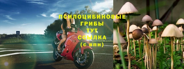 таблы Липки
