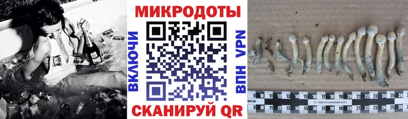 Галлюциногенные грибы Magic Shrooms  Купить закладки  Гаврилов Посад 