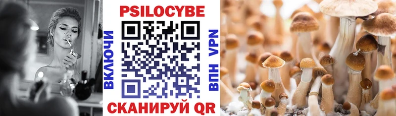 Псилоцибиновые грибы Cubensis Гаврилов Посад